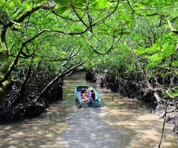 Baratang Island